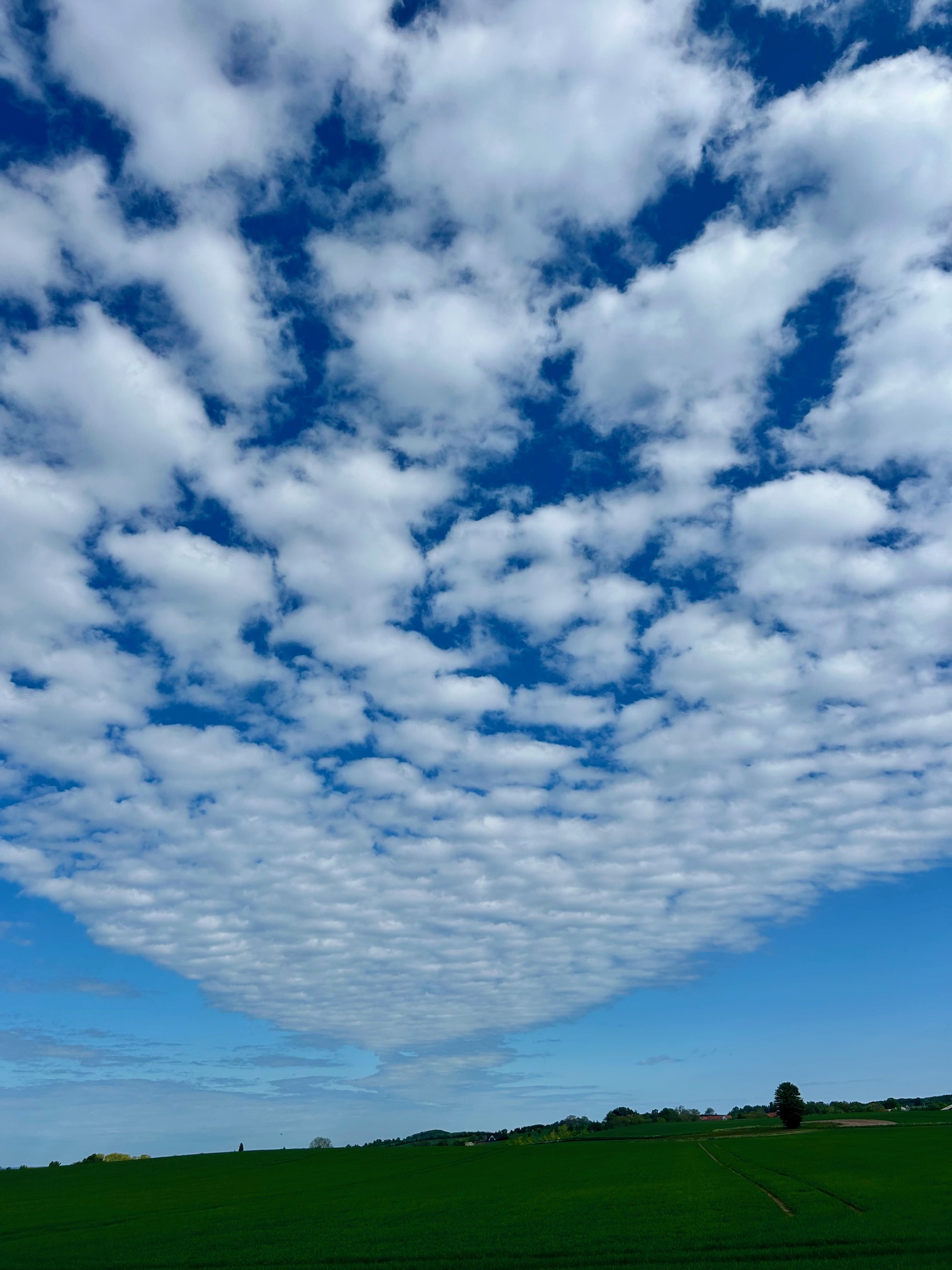 Quote reference image 15